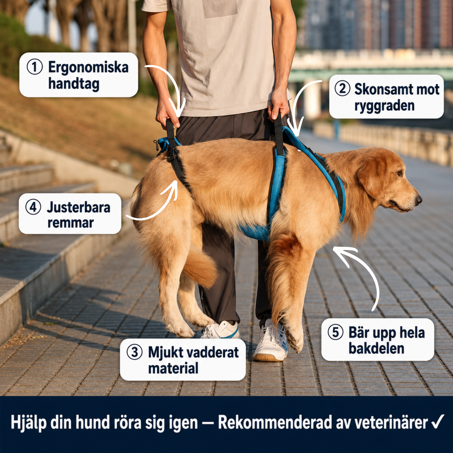 Pawstead™ lyftesele (7kg – 61kg)